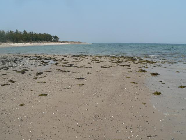 2006-05-06 12-26-16 - 0.jpg.jpg